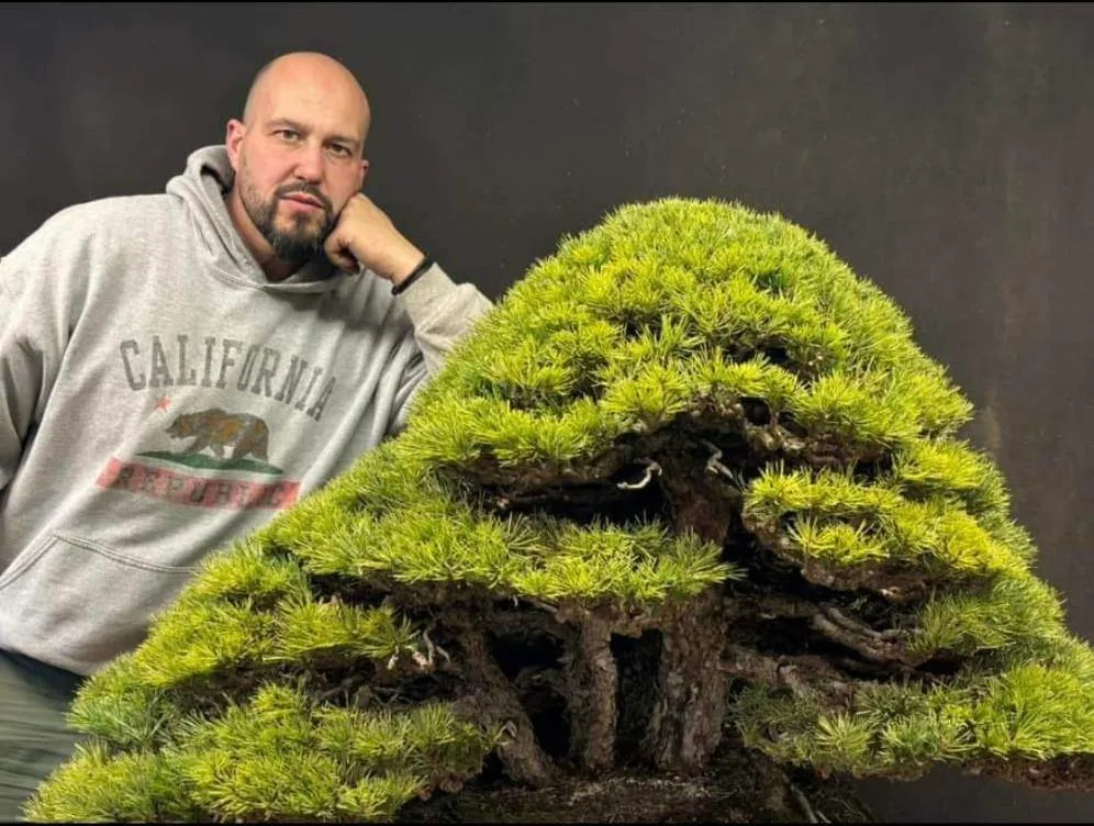 My Garden  Mauro Stemberger | Italian Bonsai Dream